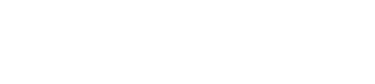 segel net